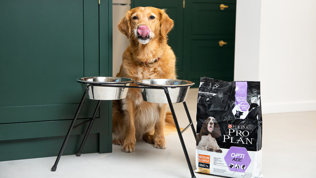 Giving puppy food discount to older dogs